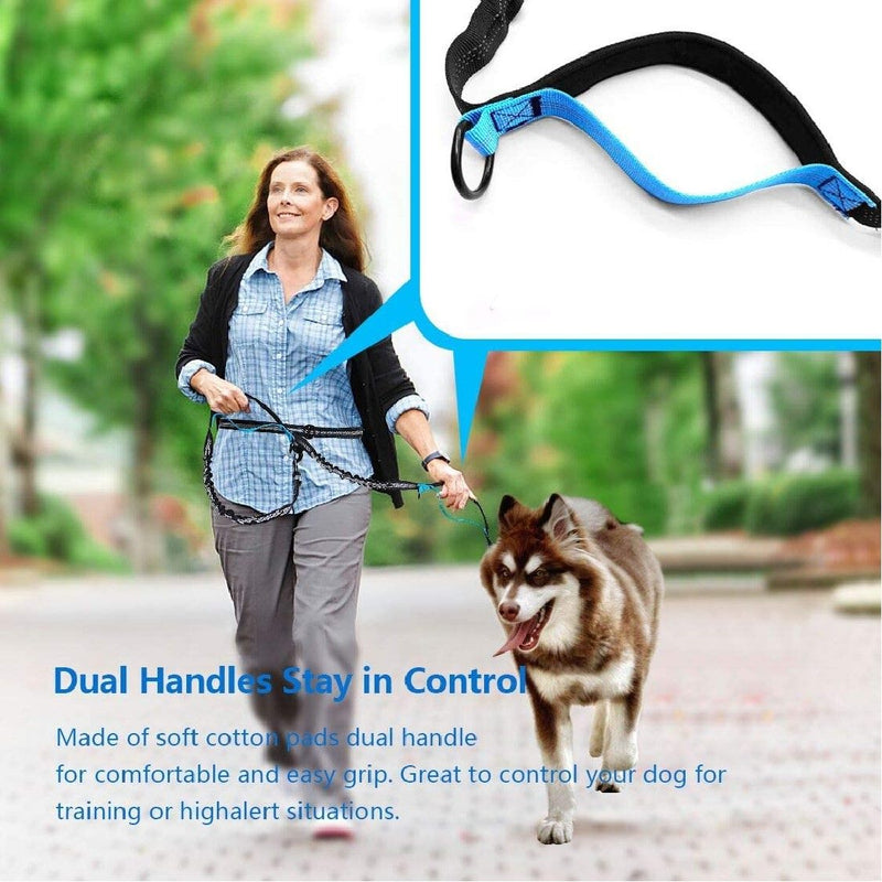 Hands Free Dog Leash