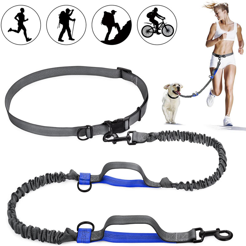 Hands Free Dog Leash