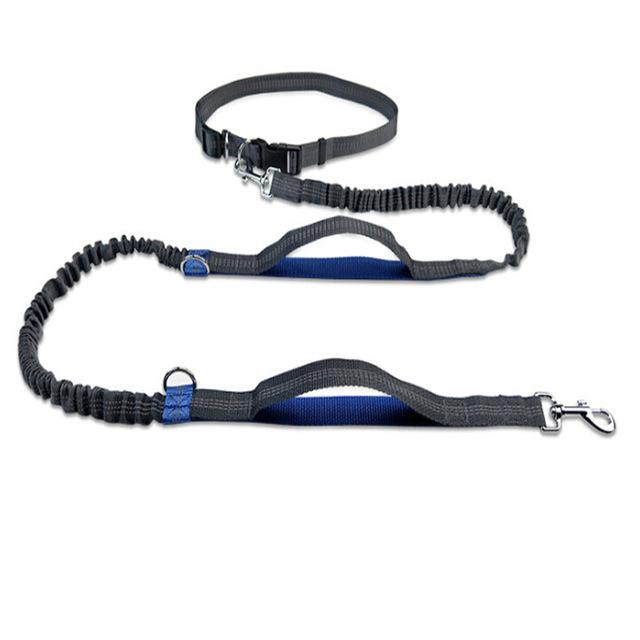 Hands Free Dog Leash