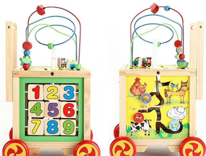 Wooden Activity Walker Activity Cube