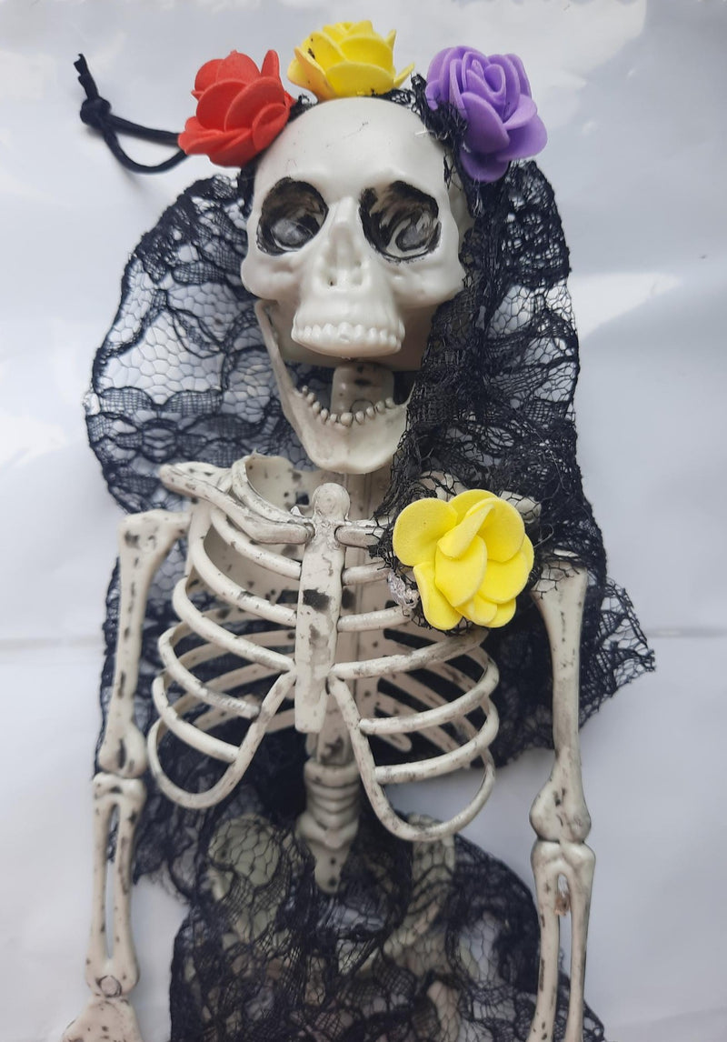 Clothed Skeleton 40cm