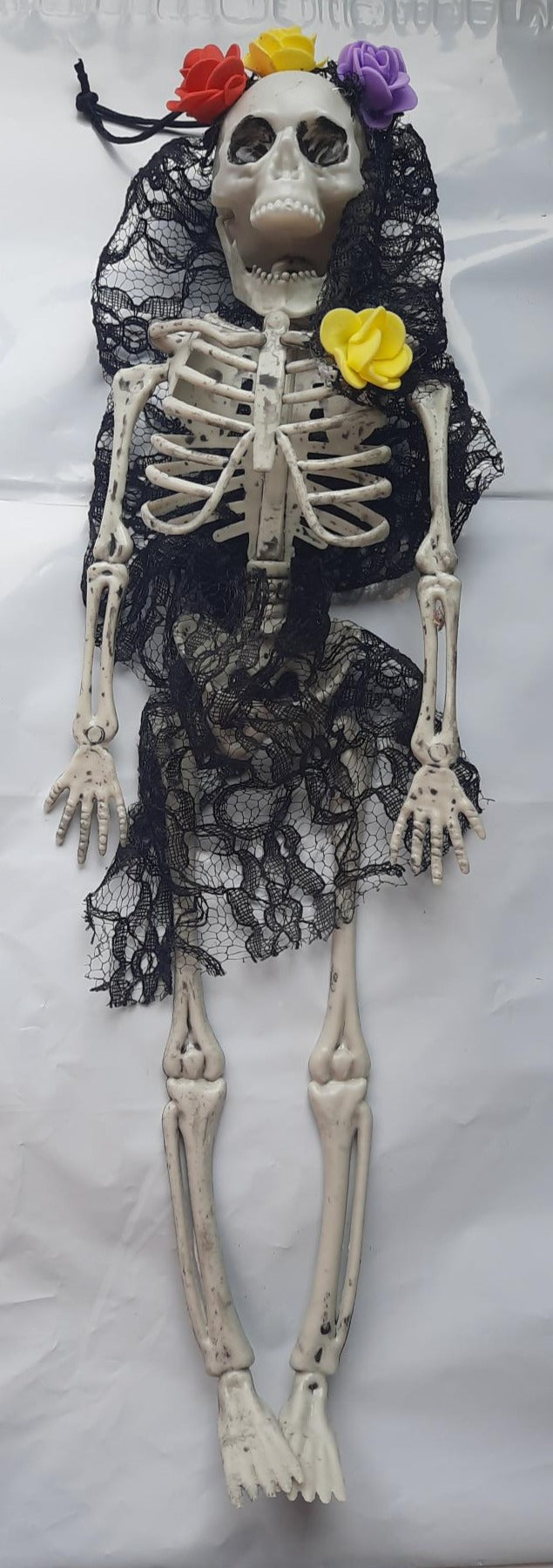 Clothed Skeleton 40cm