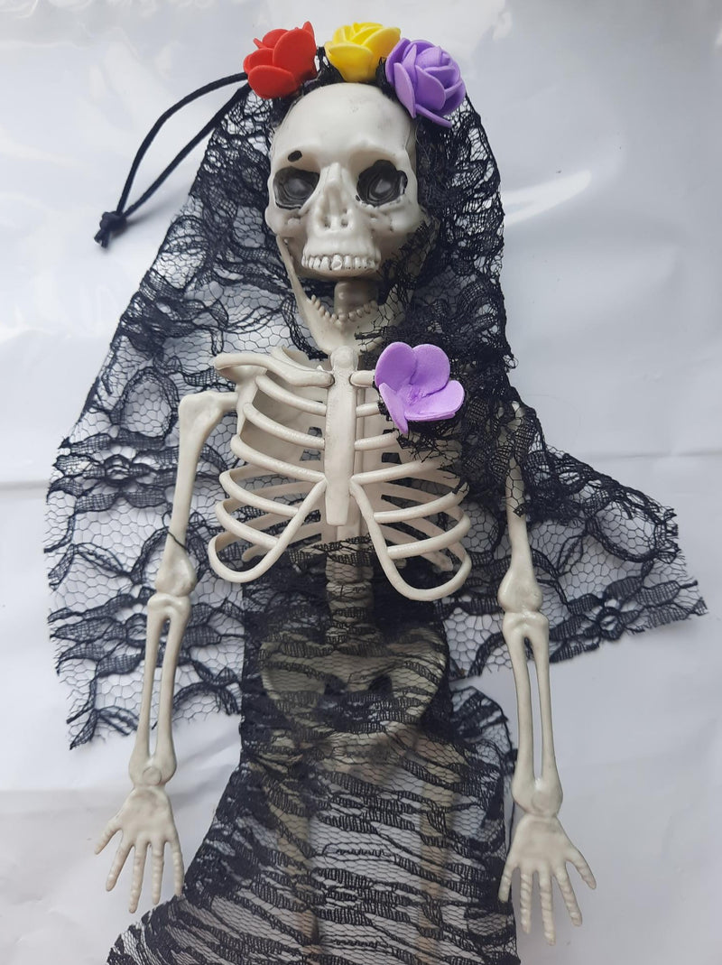 Clothed Skeleton 40cm