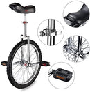 20" Chrome Wheel Unicycle