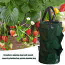 3L Multi-mouth Vertical Vege/Flower Planter - Home garden Potato greenhouse seedling pot (Green) - Nifti NZ