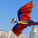 3D Dragon Kite With Tail